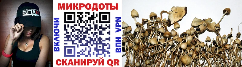 Купить закладки  Изобильный  Галлюциногенные грибы мухоморы 